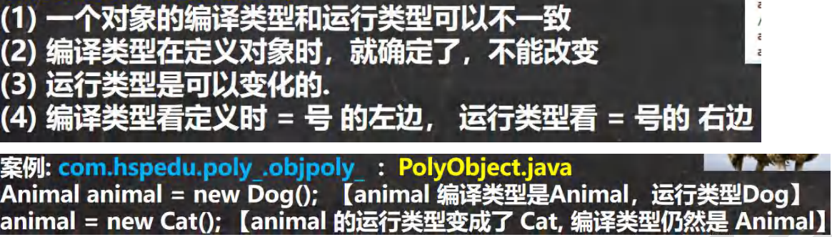 image-20230728201805826