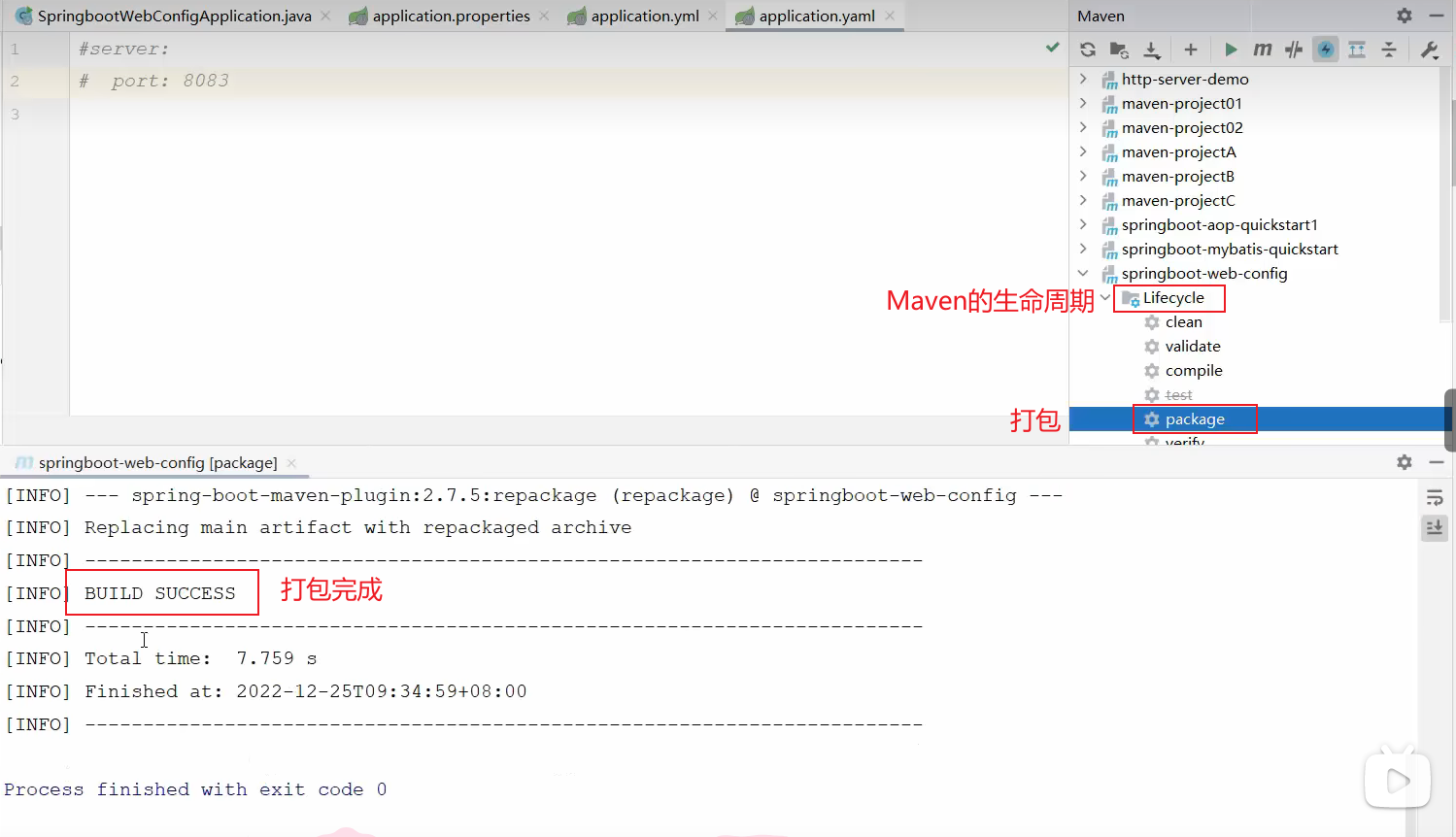 image-20240815113928647