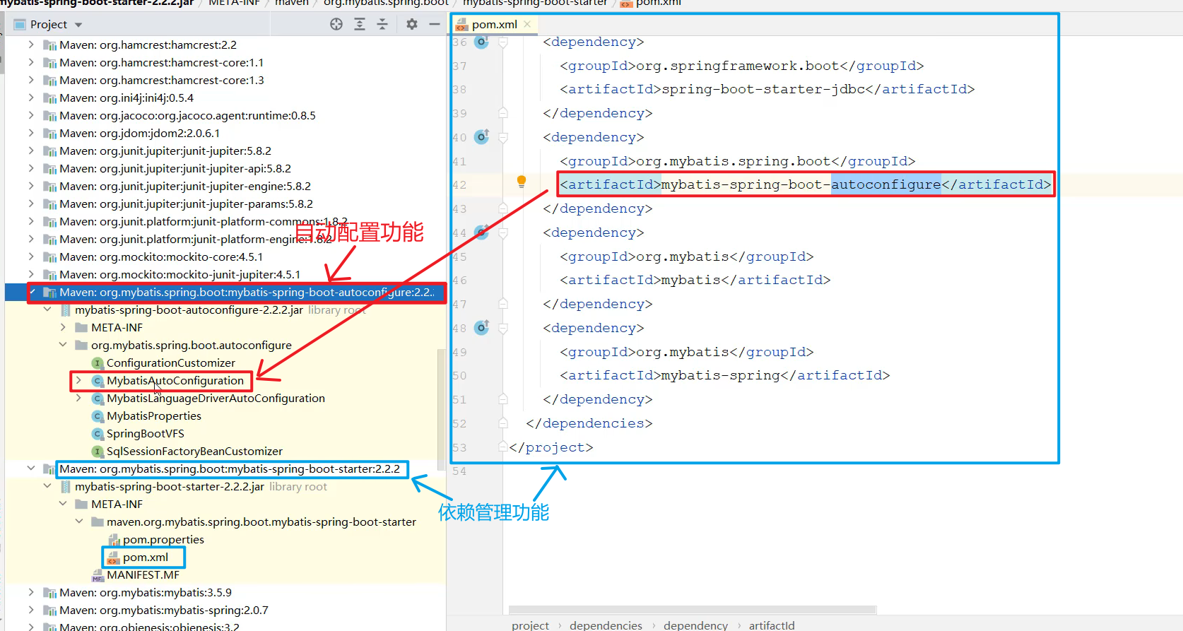 image-20240816214243352