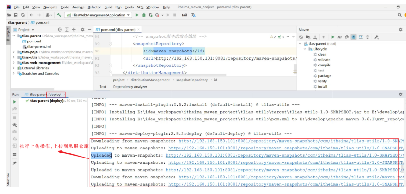 image-20240817220447255