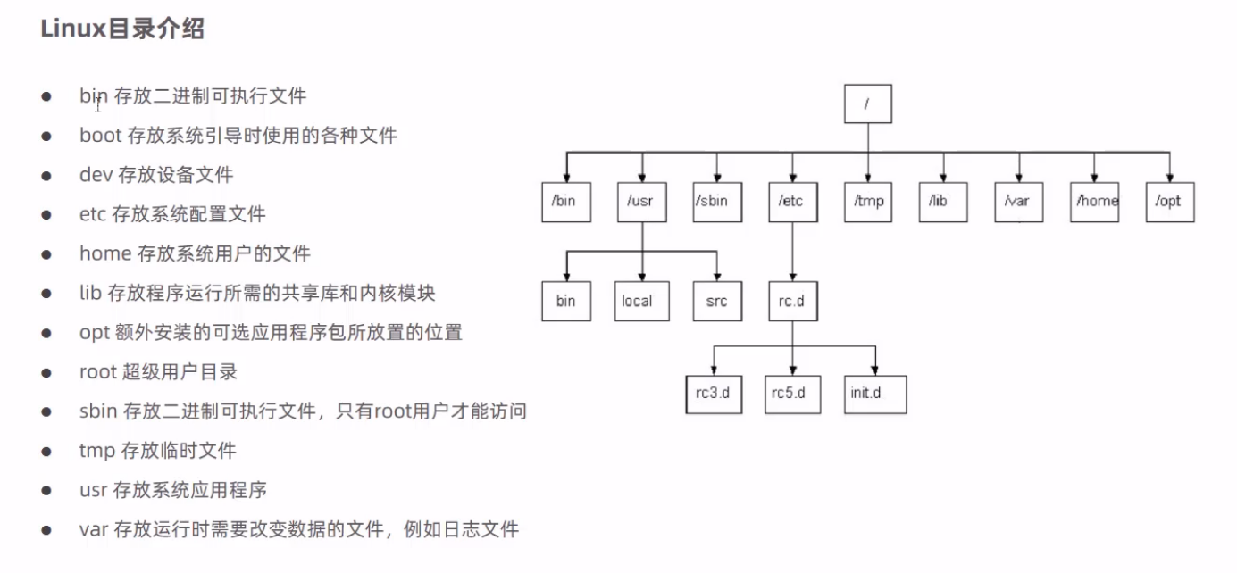 image-20240902210531386