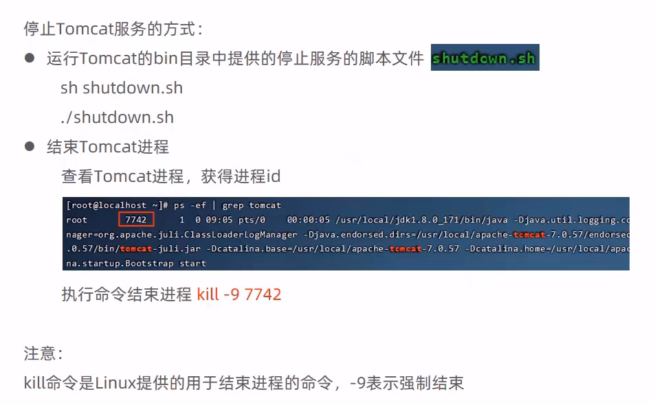 image-20240903205110258