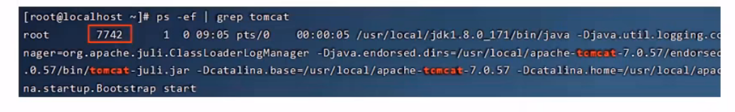 image-20240903205517146