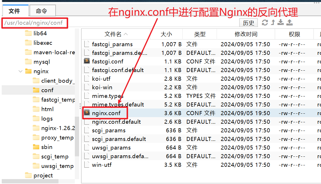 image-20240905200715948