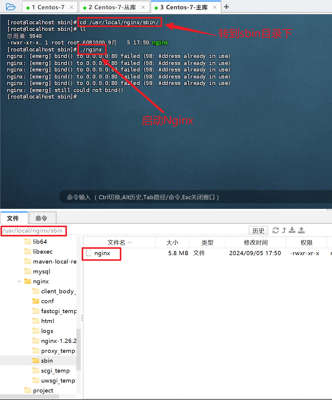 image-20240905201004088