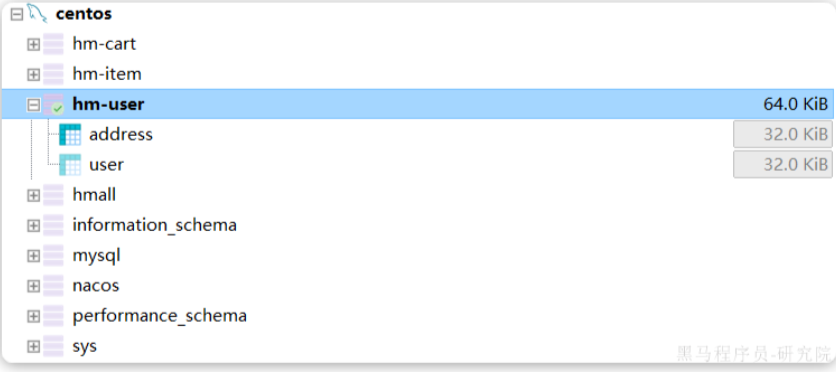 image-20241205164125391