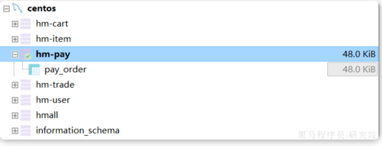 image-20241205164732571