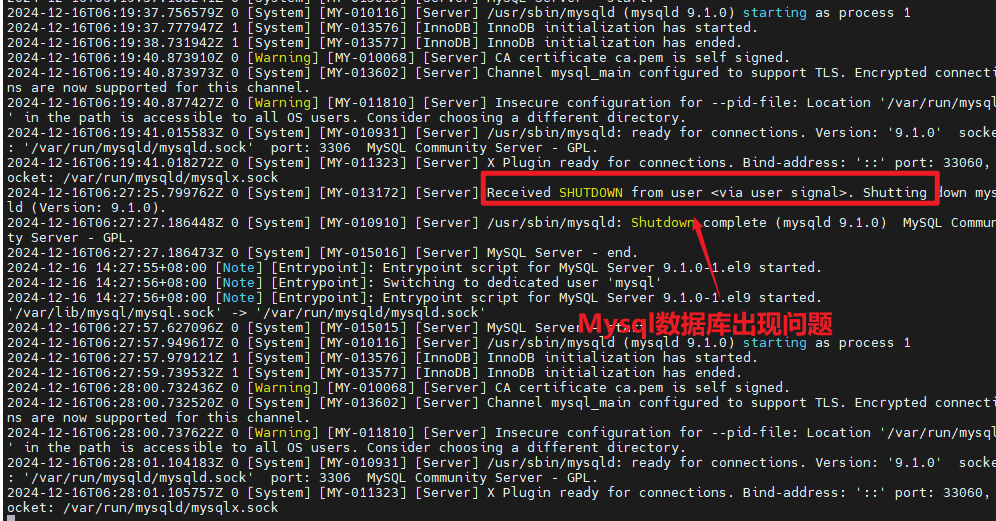 image-20241216143222725