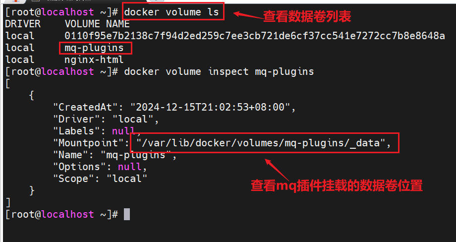 image-20241217221134718