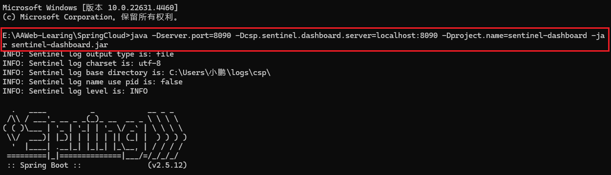 image-20250227231302887