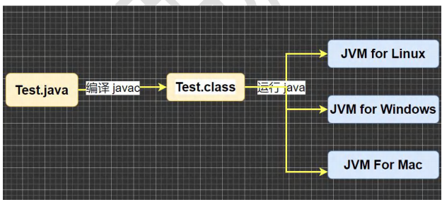 image-20250305131544908