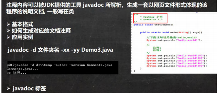 image-20250305132022107