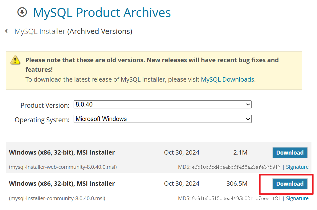 image-20250412161521964