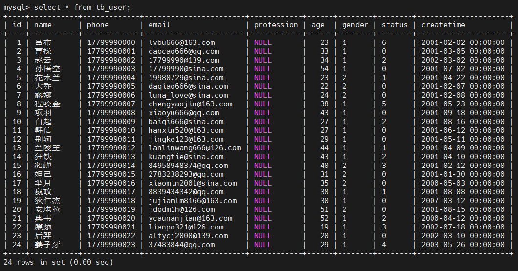 image-20250415205725965