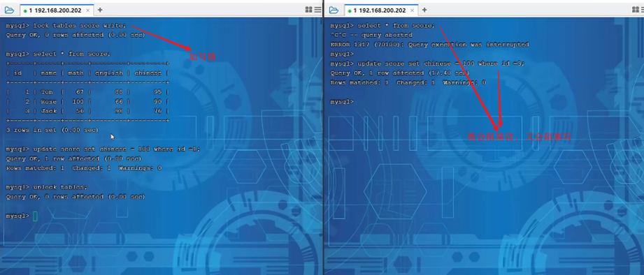 image-20250417223602566