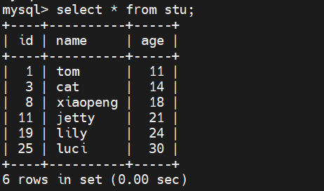 image-20250419175839860