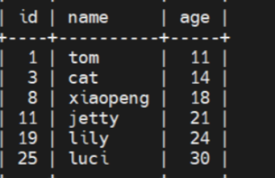 image-20250419180727875