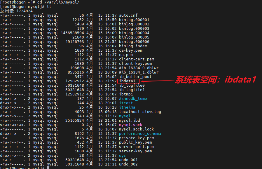 image-20250419210220969