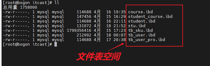 image-20250419210256312