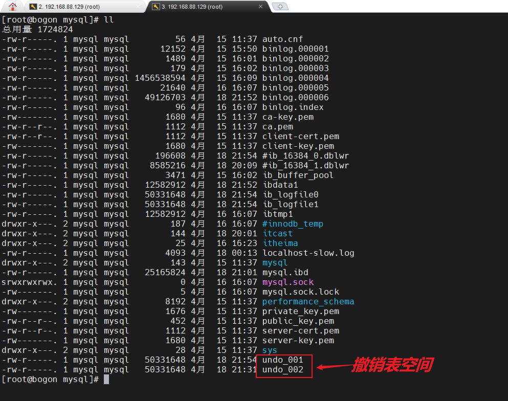 image-20250419211206961