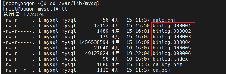 image-20250420140209995