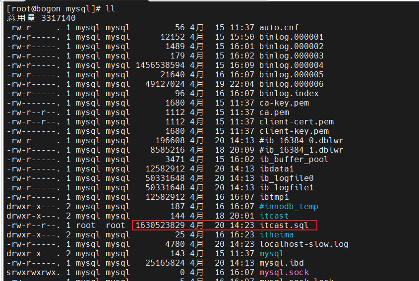 image-20250420142442036