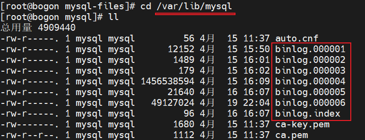 image-20250420173321313