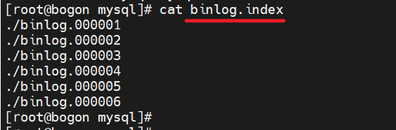 image-20250420173350086