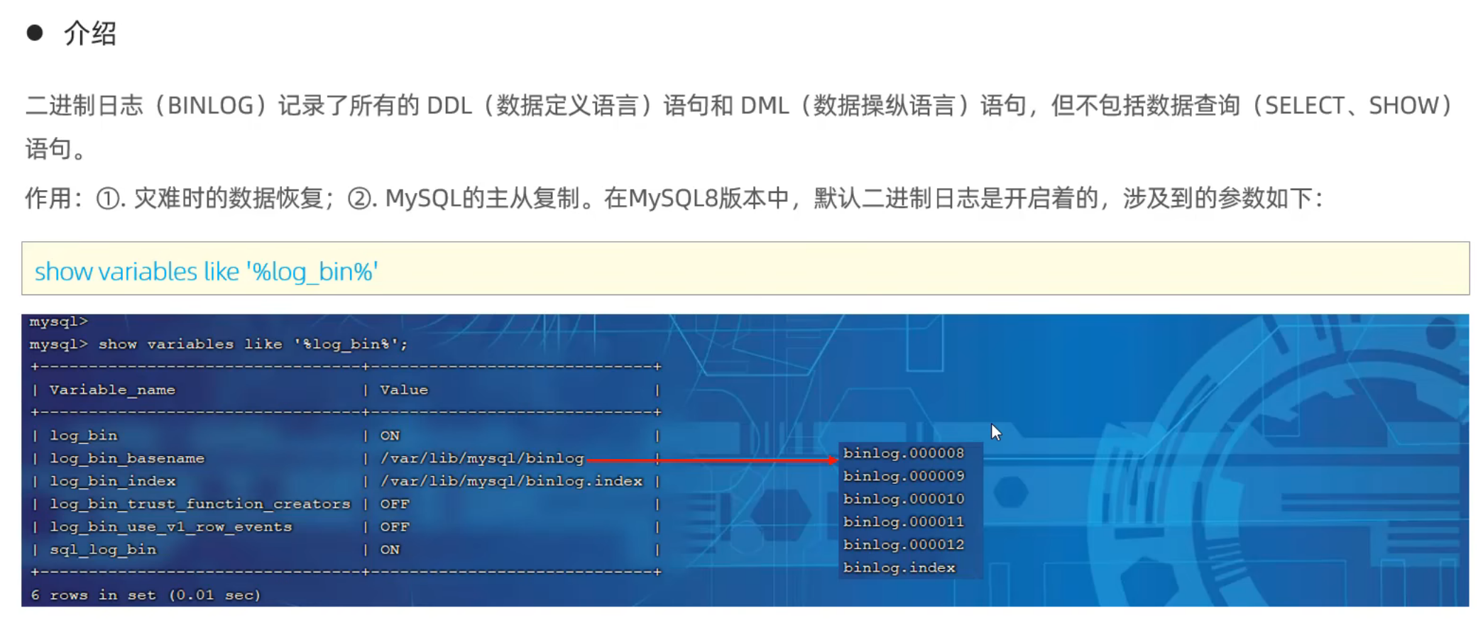 image-20250420173409250