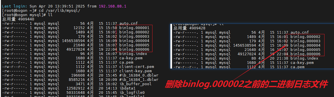 image-20250420213930569