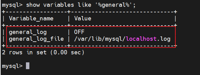 image-20250420214551431