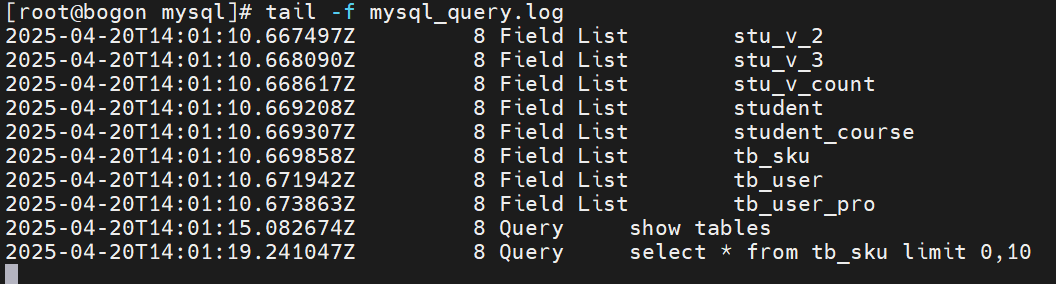 image-20250420220234253