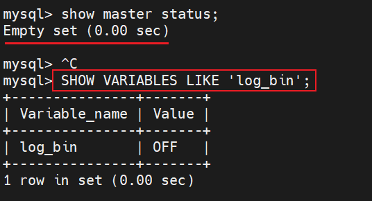 image-20250420233752874