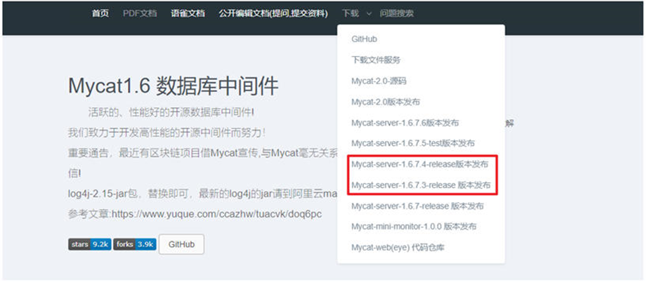 image-20250421131055378